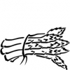Asparagus